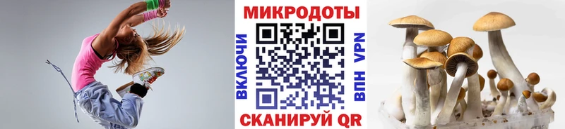 ОМГ ОМГ ONION  Осташков  Псилоцибиновые грибы Magic Shrooms 